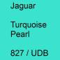 Preview: Jaguar, Turquoise Pearl, 827 / UDB.